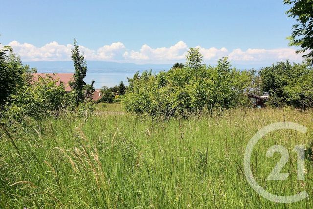 terrain à vendre - 429.0 m2 - EVIAN LES BAINS - 74 - RHONE-ALPES - Century 21 Chablais - Léman terrain à vendre - 429.0 m2 - EVIAN LES BAINS - 74 - RHONE-ALPES - Century 21 Chablais - Léman