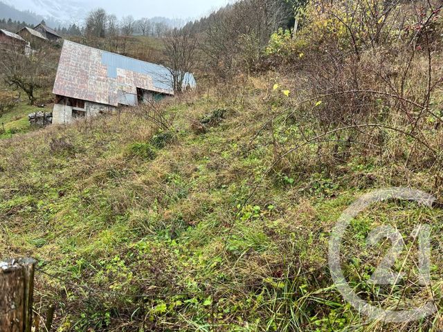 terrain à vendre - 2007.0 m2 - NOVEL - 74 - RHONE-ALPES - Century 21 Chablais - Léman