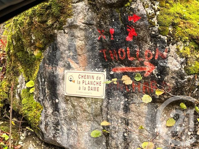 terrain à vendre - 2007.0 m2 - NOVEL - 74 - RHONE-ALPES - Century 21 Chablais - Léman