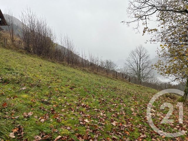 terrain à vendre - 2007.0 m2 - NOVEL - 74 - RHONE-ALPES - Century 21 Chablais - Léman