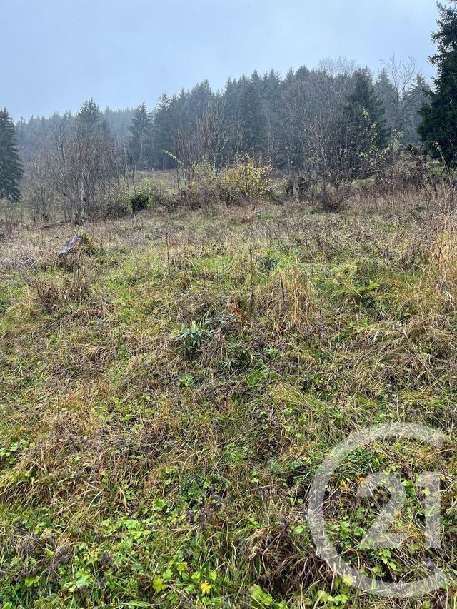 terrain à vendre - 2007.0 m2 - NOVEL - 74 - RHONE-ALPES - Century 21 Chablais - Léman