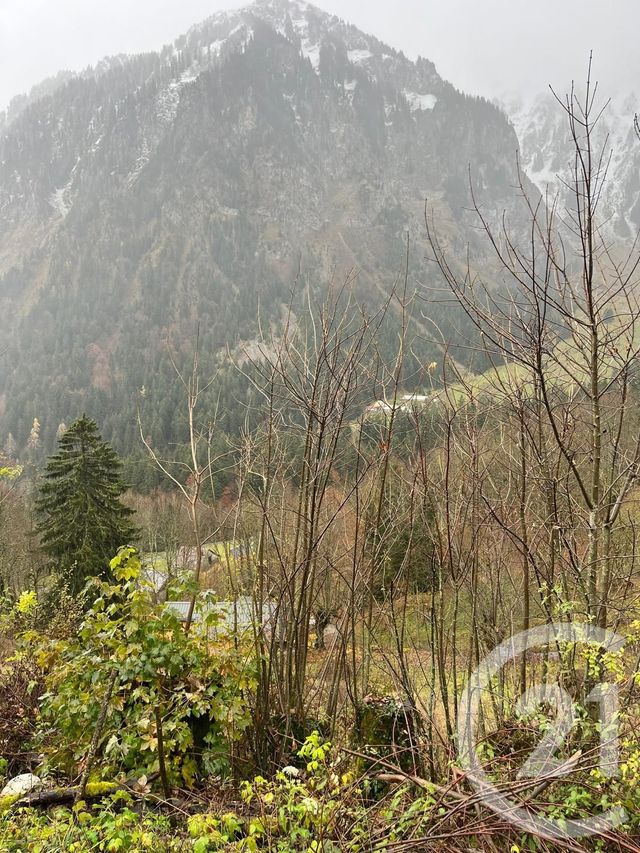 terrain à vendre - 2007.0 m2 - NOVEL - 74 - RHONE-ALPES - Century 21 Chablais - Léman