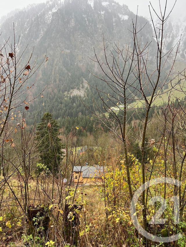 terrain à vendre - 2007.0 m2 - NOVEL - 74 - RHONE-ALPES - Century 21 Chablais - Léman