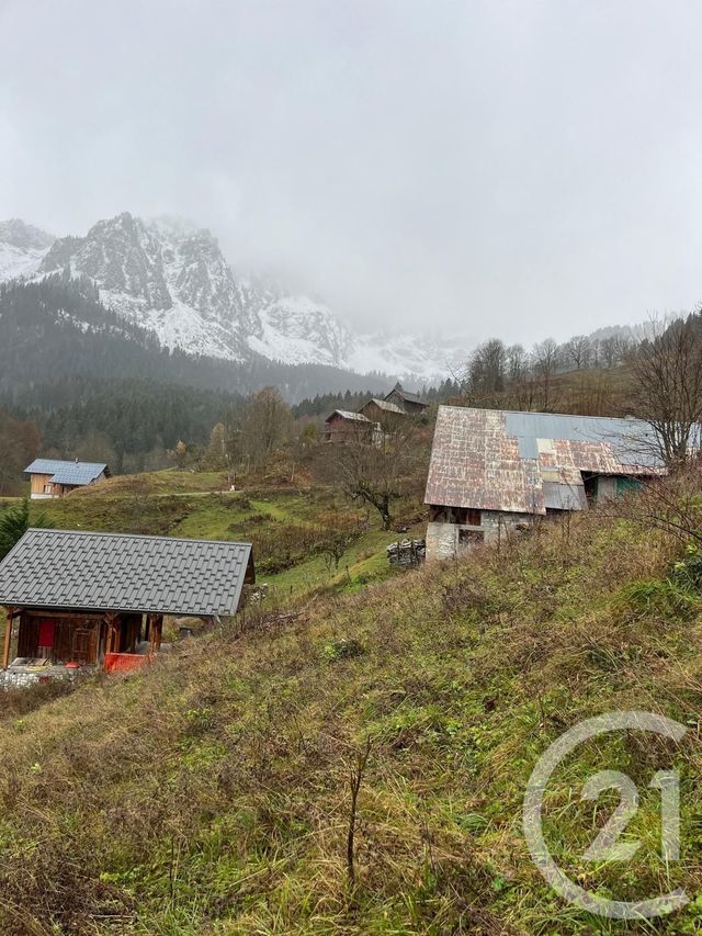 terrain à vendre - 2007.0 m2 - NOVEL - 74 - RHONE-ALPES - Century 21 Chablais - Léman