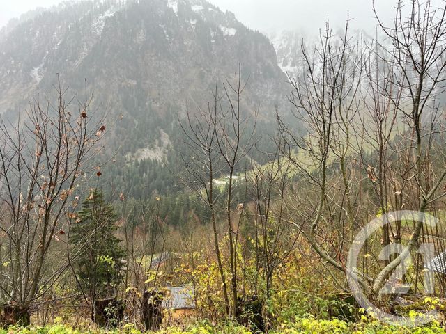 terrain à vendre - 2007.0 m2 - NOVEL - 74 - RHONE-ALPES - Century 21 Chablais - Léman