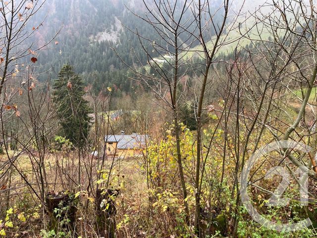 terrain à vendre - 2007.0 m2 - NOVEL - 74 - RHONE-ALPES - Century 21 Chablais - Léman