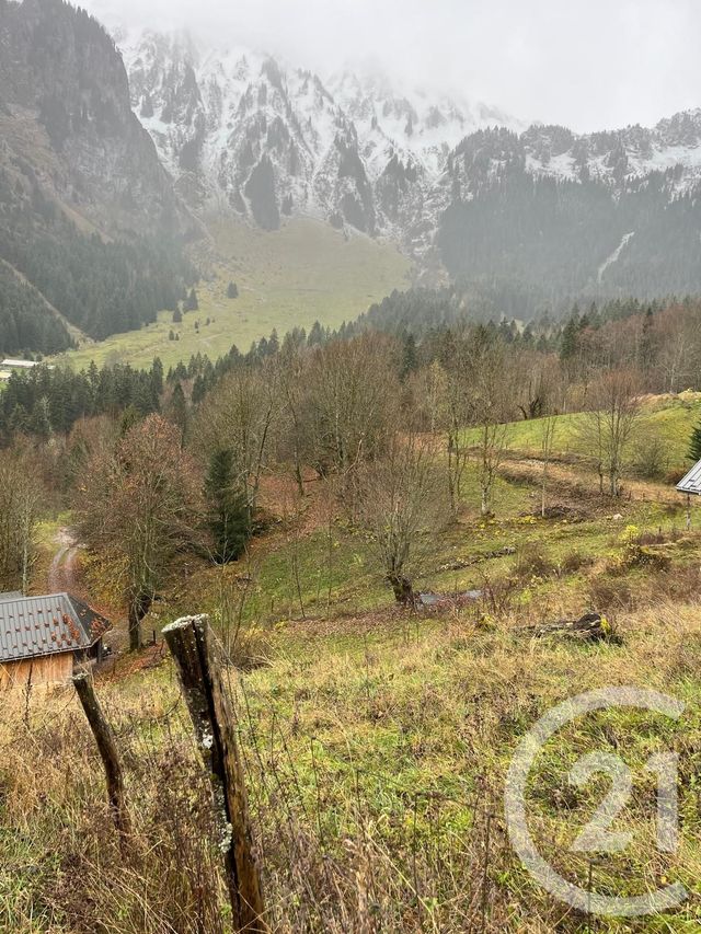 terrain à vendre - 2007.0 m2 - NOVEL - 74 - RHONE-ALPES - Century 21 Chablais - Léman