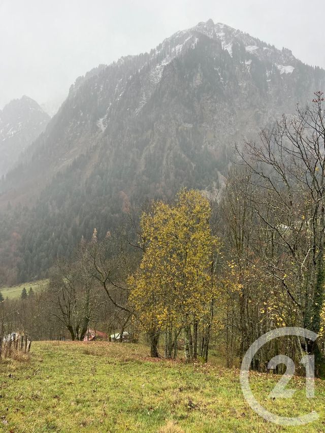 terrain à vendre - 2007.0 m2 - NOVEL - 74 - RHONE-ALPES - Century 21 Chablais - Léman