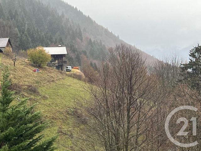 terrain à vendre - 2007.0 m2 - NOVEL - 74 - RHONE-ALPES - Century 21 Chablais - Léman