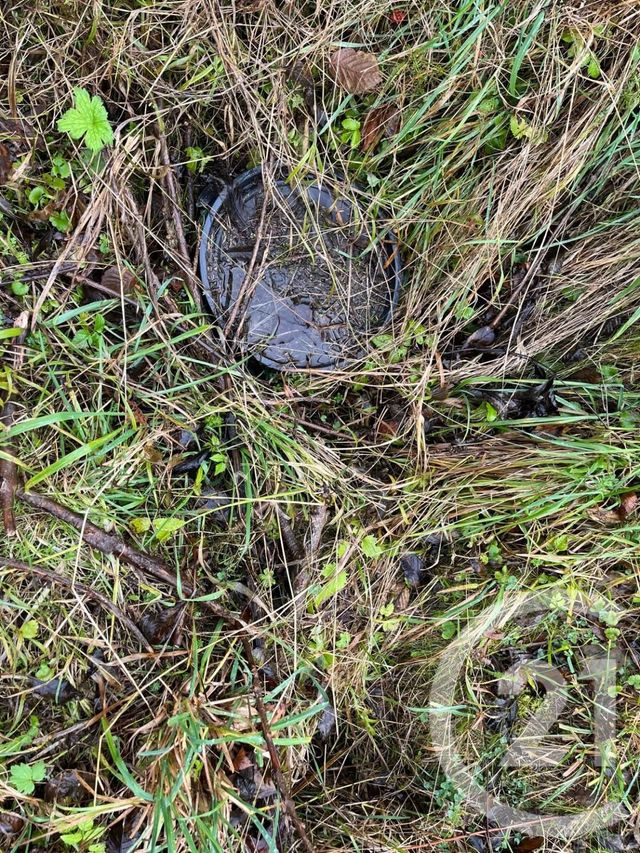 terrain à vendre - 812.0 m2 - NOVEL - 74 - RHONE-ALPES - Century 21 Chablais - Léman