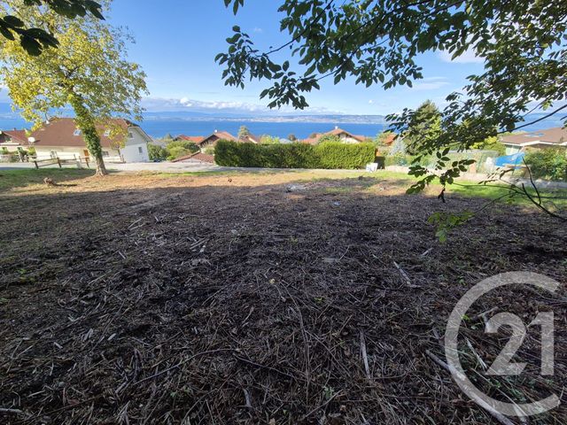 terrain à vendre - 1052.0 m2 - NEUVECELLE - 74 - RHONE-ALPES - Century 21 Chablais - Léman