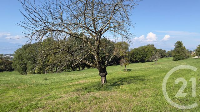 Appartement F2 à vendre - 2 pièces - 43.23 m2 - MARIN - 74 - RHONE-ALPES - Century 21 Chablais - Léman