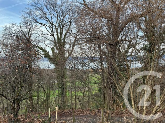 terrain à vendre - 1458.0 m2 - MAXILLY SUR LEMAN - 74 - RHONE-ALPES - Century 21 Chablais - Léman