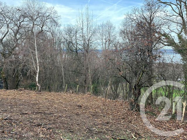 terrain à vendre - 1458.0 m2 - MAXILLY SUR LEMAN - 74 - RHONE-ALPES - Century 21 Chablais - Léman