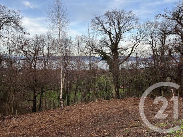terrain à vendre - 1458.0 m2 - MAXILLY SUR LEMAN - 74 - RHONE-ALPES - Century 21 Chablais - Léman