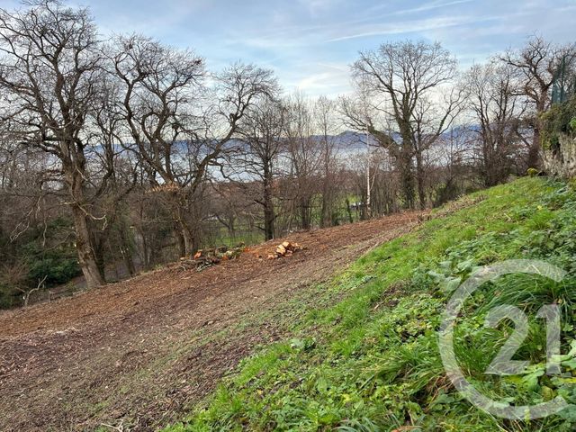 terrain à vendre - 1458.0 m2 - MAXILLY SUR LEMAN - 74 - RHONE-ALPES - Century 21 Chablais - Léman