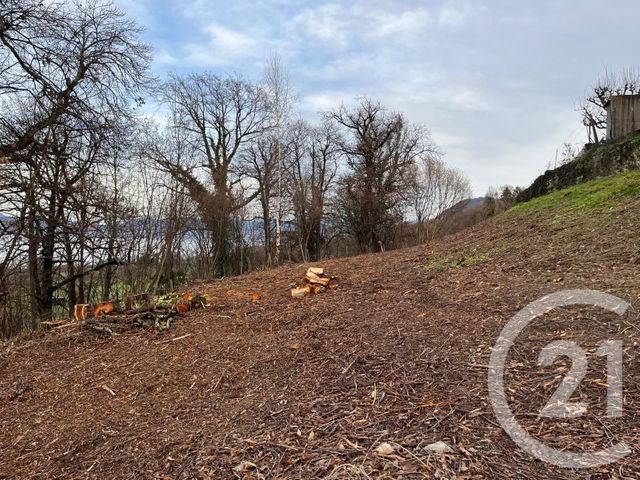 terrain à vendre - 1458.0 m2 - MAXILLY SUR LEMAN - 74 - RHONE-ALPES - Century 21 Chablais - Léman