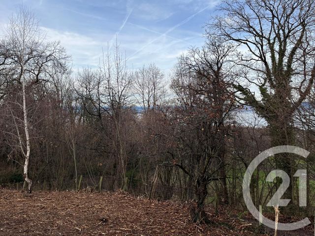 terrain à vendre - 1458.0 m2 - MAXILLY SUR LEMAN - 74 - RHONE-ALPES - Century 21 Chablais - Léman