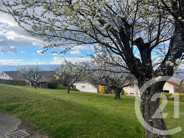 terrain à vendre - 1321.0 m2 - NEUVECELLE - 74 - RHONE-ALPES - Century 21 Chablais - Léman