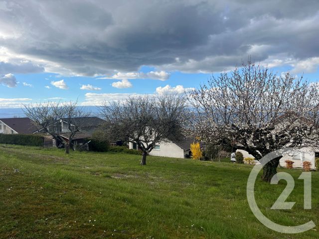 terrain à vendre - 561.0 m2 - NEUVECELLE - 74 - RHONE-ALPES - Century 21 Chablais - Léman