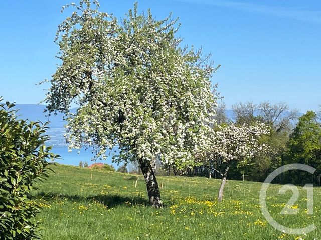 maison à vendre - 13 pièces - 159.4 m2 - LARRINGES - 74 - RHONE-ALPES - Century 21 Chablais - Léman
